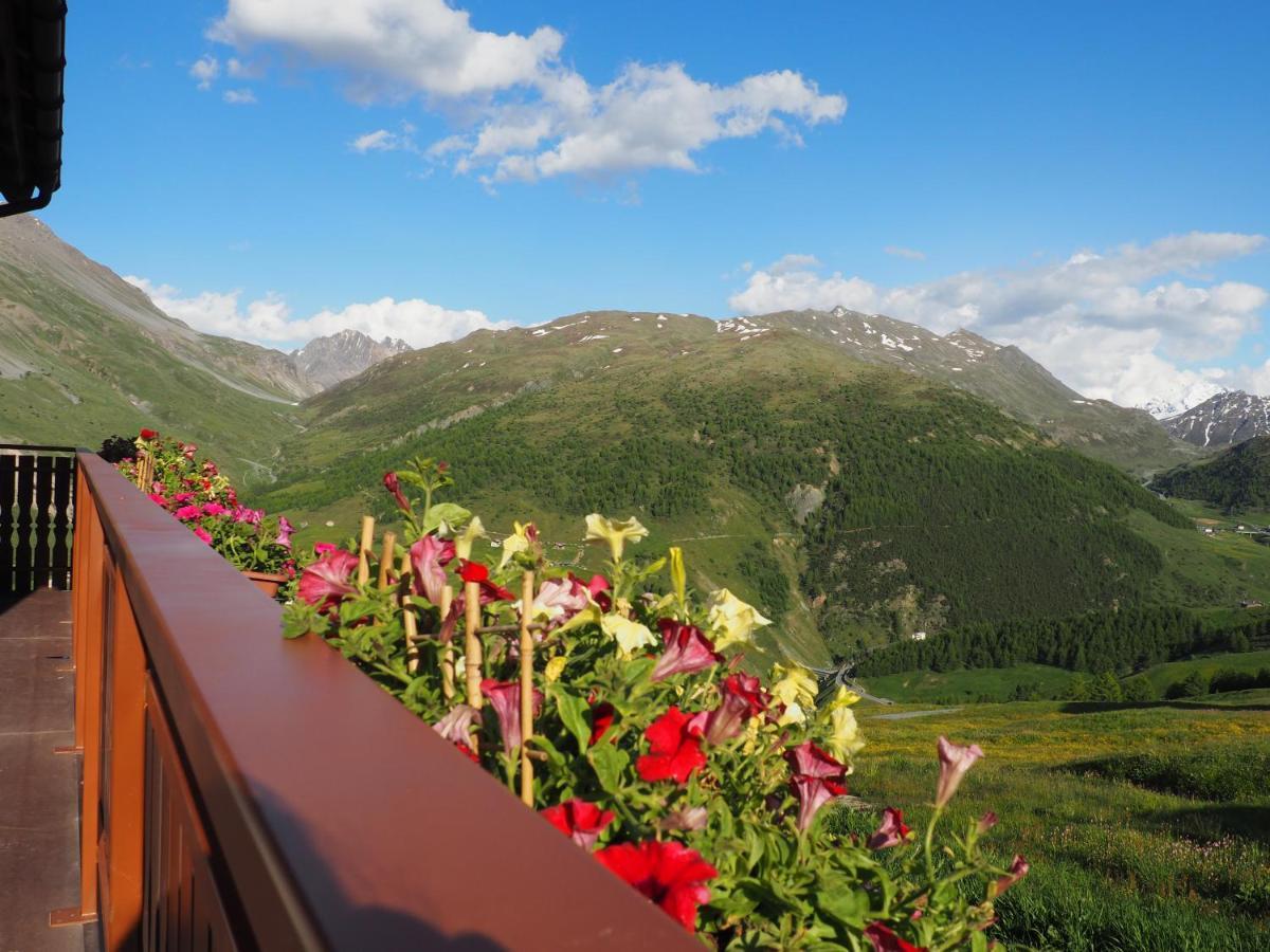 Millenium Apartment Livigno